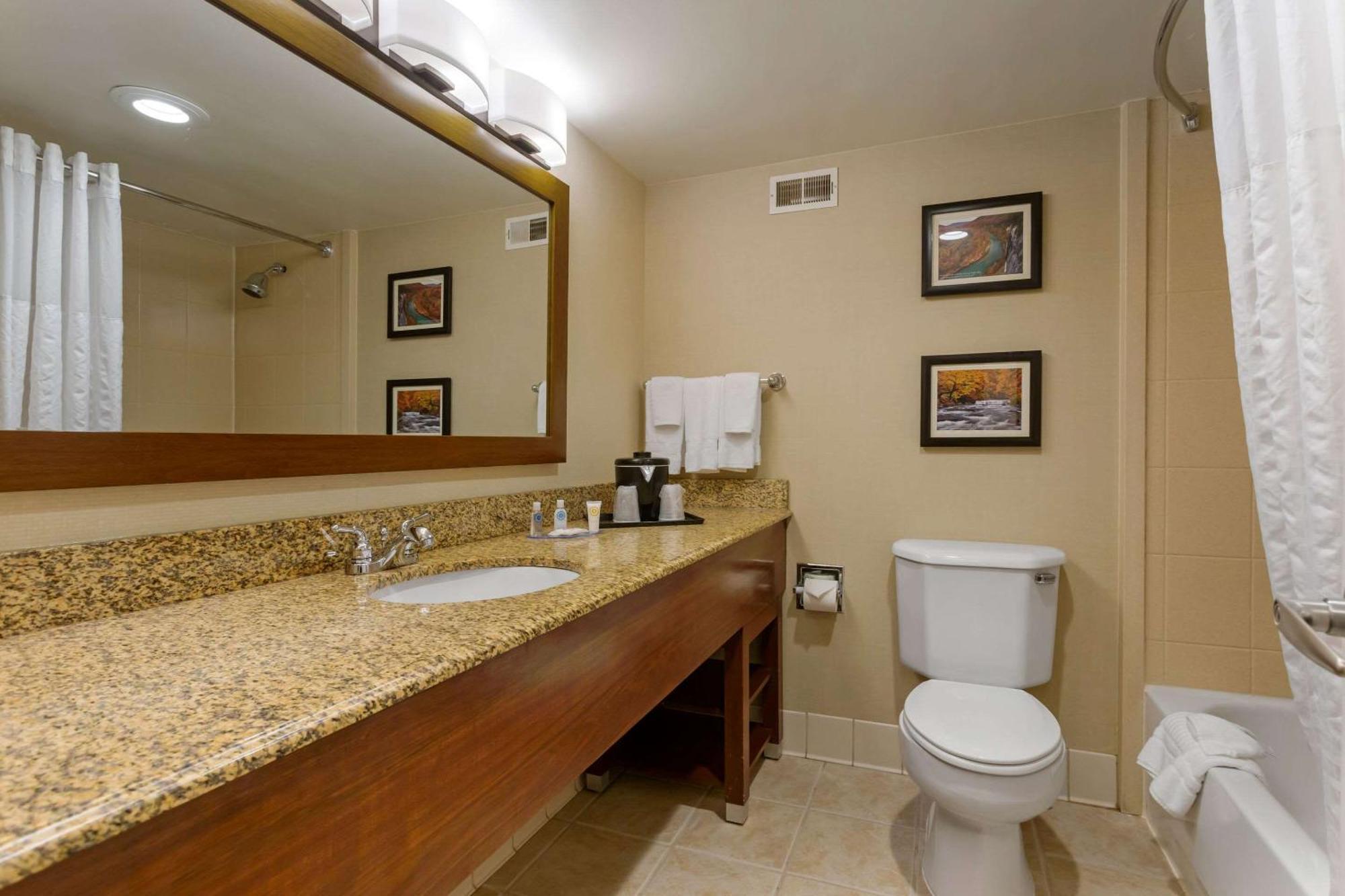 Comfort Inn & Suites Presidential Λιτλ Ροκ Εξωτερικό φωτογραφία